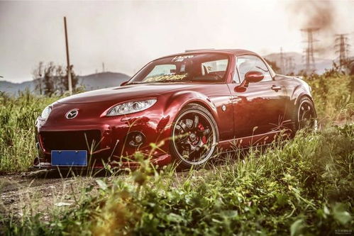 女生眼中low到爆的汽車改裝 幼稚貼紙竟非第一？